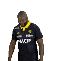 Rugby Larochelle Sticker by Stade Rochelais