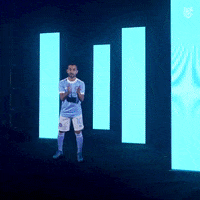 New York City Fc Reaction GIF by NYCFC