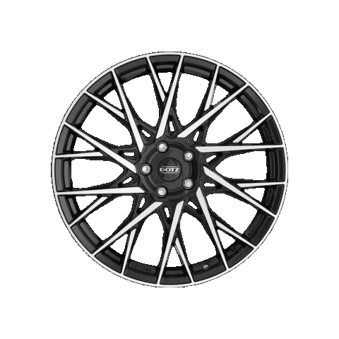 Fuji Dotz Sticker by dotzwheels