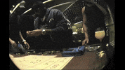 Eagle Albania GIF by D-Block Europe