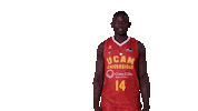 Lebron James Basketball Sticker by ACB