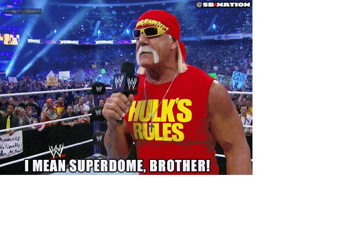 hulk hogan wwe GIF
