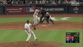 Yankees GIF by Jomboy Media