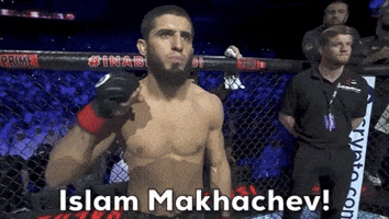 Mixed Martial Arts Sport GIF by UFC