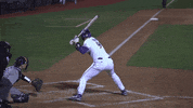 East Carolina Baseball GIF by ECU Athletics