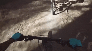 oregon GIF