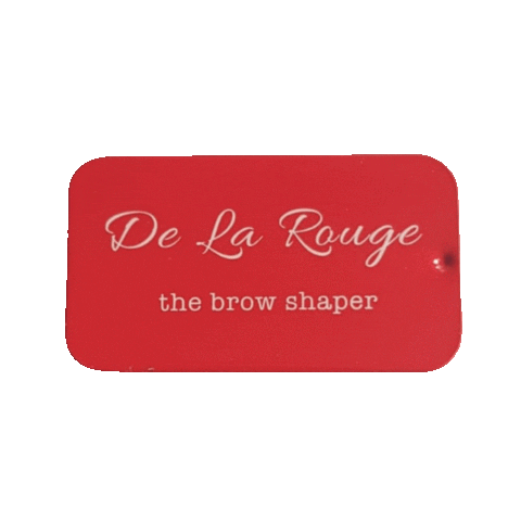 delarouge giphyupload beauty brows delarouge Sticker