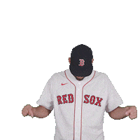 Red Sox Baseball Sticker by Boston Red Sox