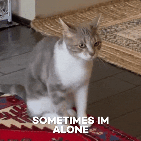 George Lonely Cat GIF by The Kiffness