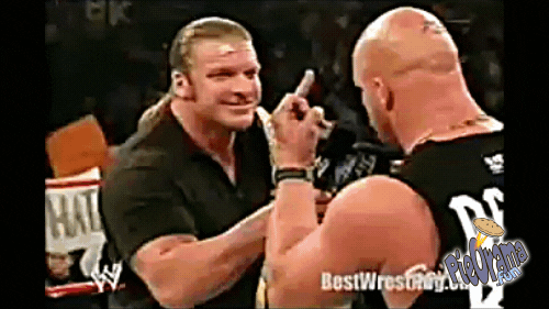 Steve Austin Wrestling GIF by PieOrama