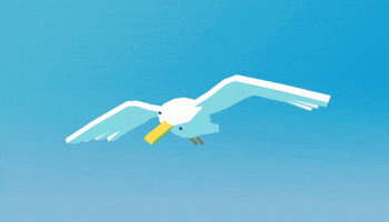 bird flying GIF
