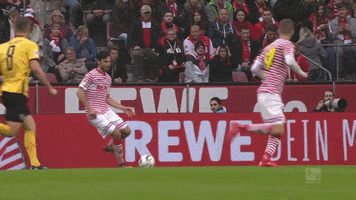 soccer celebration GIF by 1. FC Köln