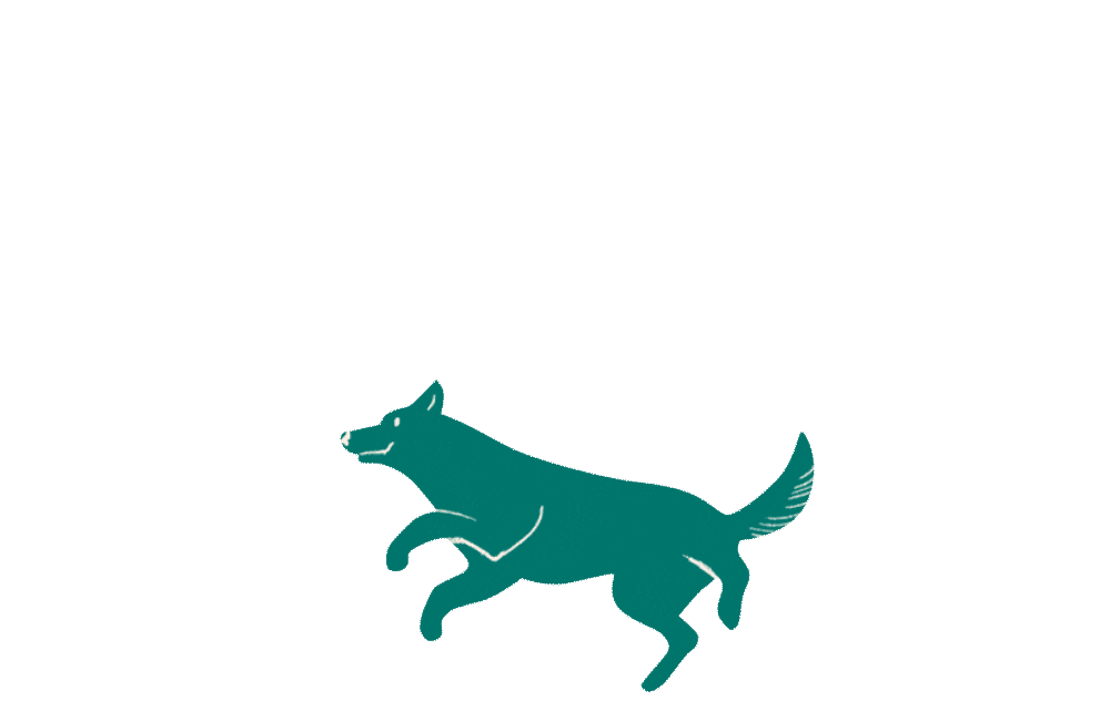 Dog Pet Sticker by HelloBello Frischfutter