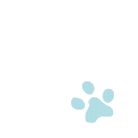 Dog Pet Sticker