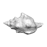 3D Florida Sticker by Robyn