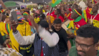 Ghana Fans Dance in Streets After World Cup Win