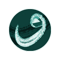 Ems2020 Sticker