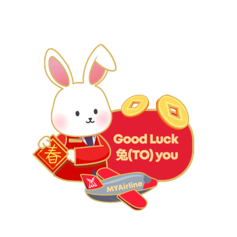 rabbit chinese new year 2025 gif