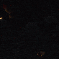 soydavidfelipe cartoon mouse raton locos por las nueces GIF