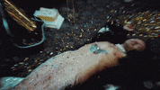 Music For A Sushi Restaurant GIF by Harry Styles