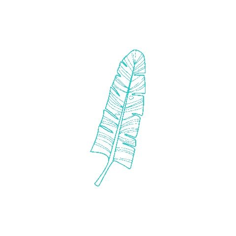 Tseewhy giphyupload minimal leaves lines Sticker