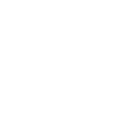 SchoenenZaken giphyupload icon nederland groningen Sticker