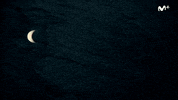 Comedia GIF by Movistar+