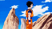 gohan GIF