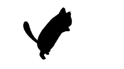 Cat Jump Sticker by antaruxa