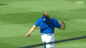 Cubs Andrewchafin GIF by Marquee Sports Network