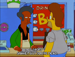 homer simpson GIF