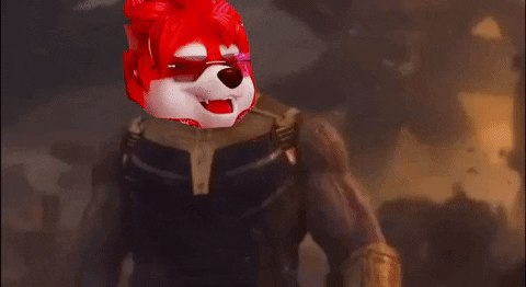 Shiba GIF by SHIBABETS.GG Find & Share on GIPHY