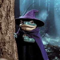 The_Frog_Mage looking sneak sly the frog mage GIF