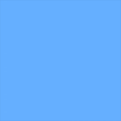 Cats Weekend GIF by Jessica Lau