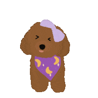 Toy Poodle Lol Sticker