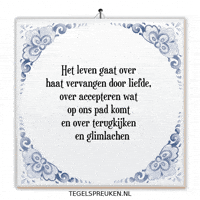 Humor Nl GIF by Tegelspreuken.nl