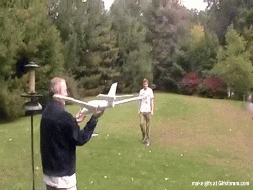 Plane Crash GIF by memecandy