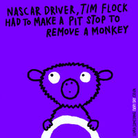 monkey business wtf GIF by Learn Something Every Day