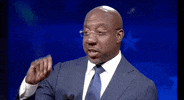 Vote Georgia GIF by GIPHY News