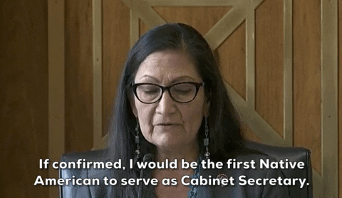 Deb Haaland Confirmation Hearing GIF by GIPHY News