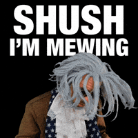 Hush Be Quiet GIF