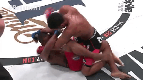 GIF by Bellator