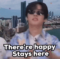 Happy Stray Kids GIF