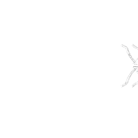 Carp Carpfishing Sticker by DNA Baits