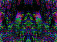 GIF by Leo Pyrata