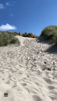 Life's a Beach... Kid's Sprint Down Sand Dune Results in Epic Faceplant