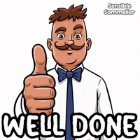 Well Done Thumbs Up GIF by VeeFriends