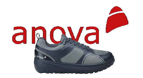 anovaswissag giphyupload anova anovaswiss anovaswissag Sticker