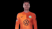 Sport Reaction GIF by VfL Wolfsburg
