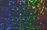 collectifpierreetmarie art kaleidoscope poesie pierreetmarie GIF